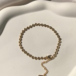 amre stainless steel anklet