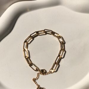 erae stainless steel anklet